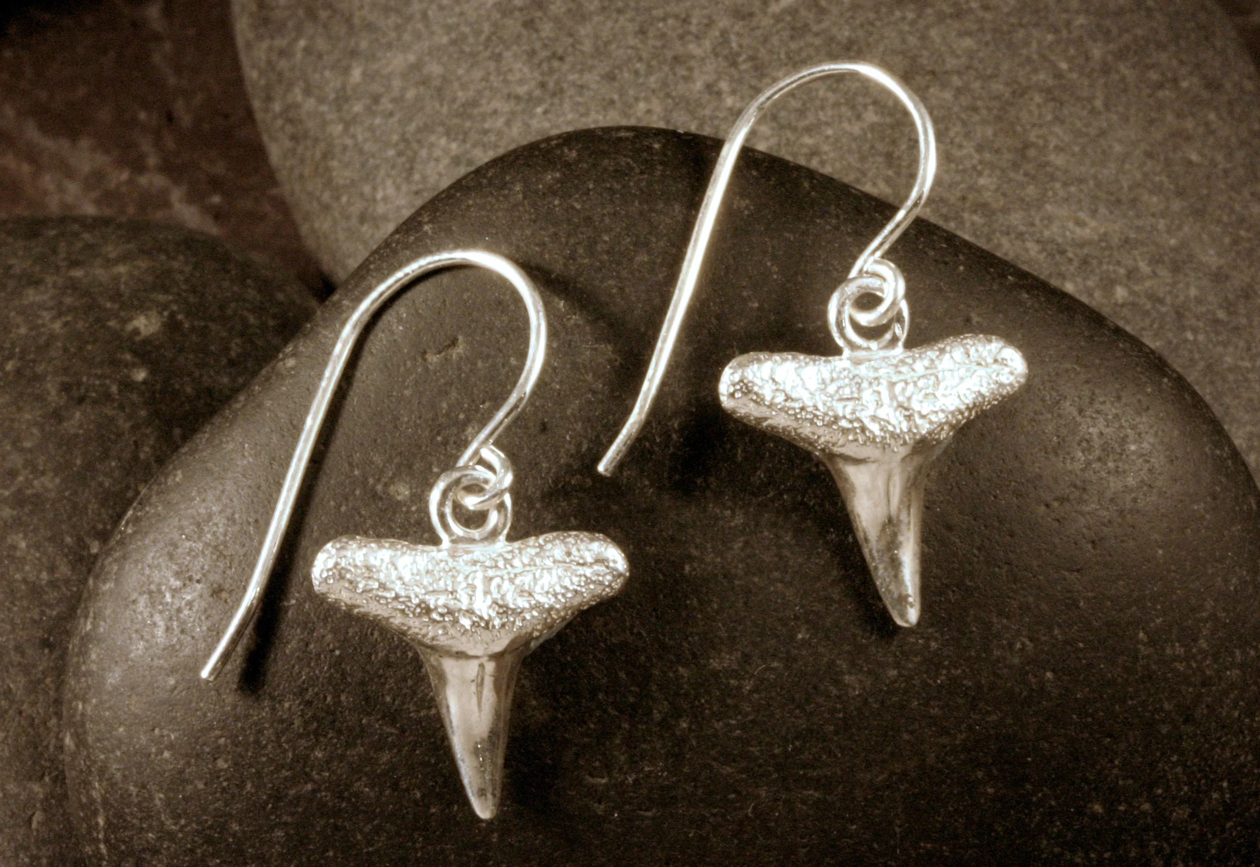 Sterling silver shark teeth dangle earrings in a forward view..
