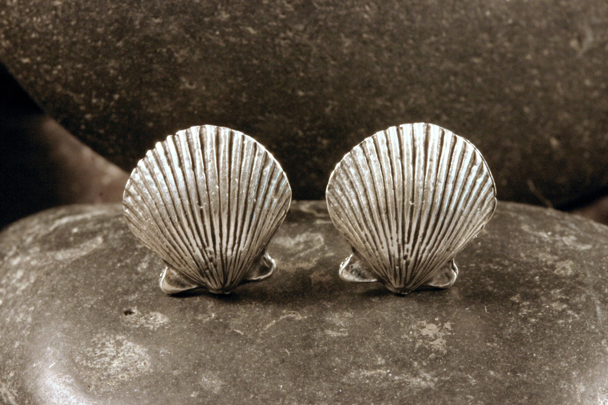 Oxidized sterling silver mini bay scallop shell stud earrings with the shells' bows at the bottom.