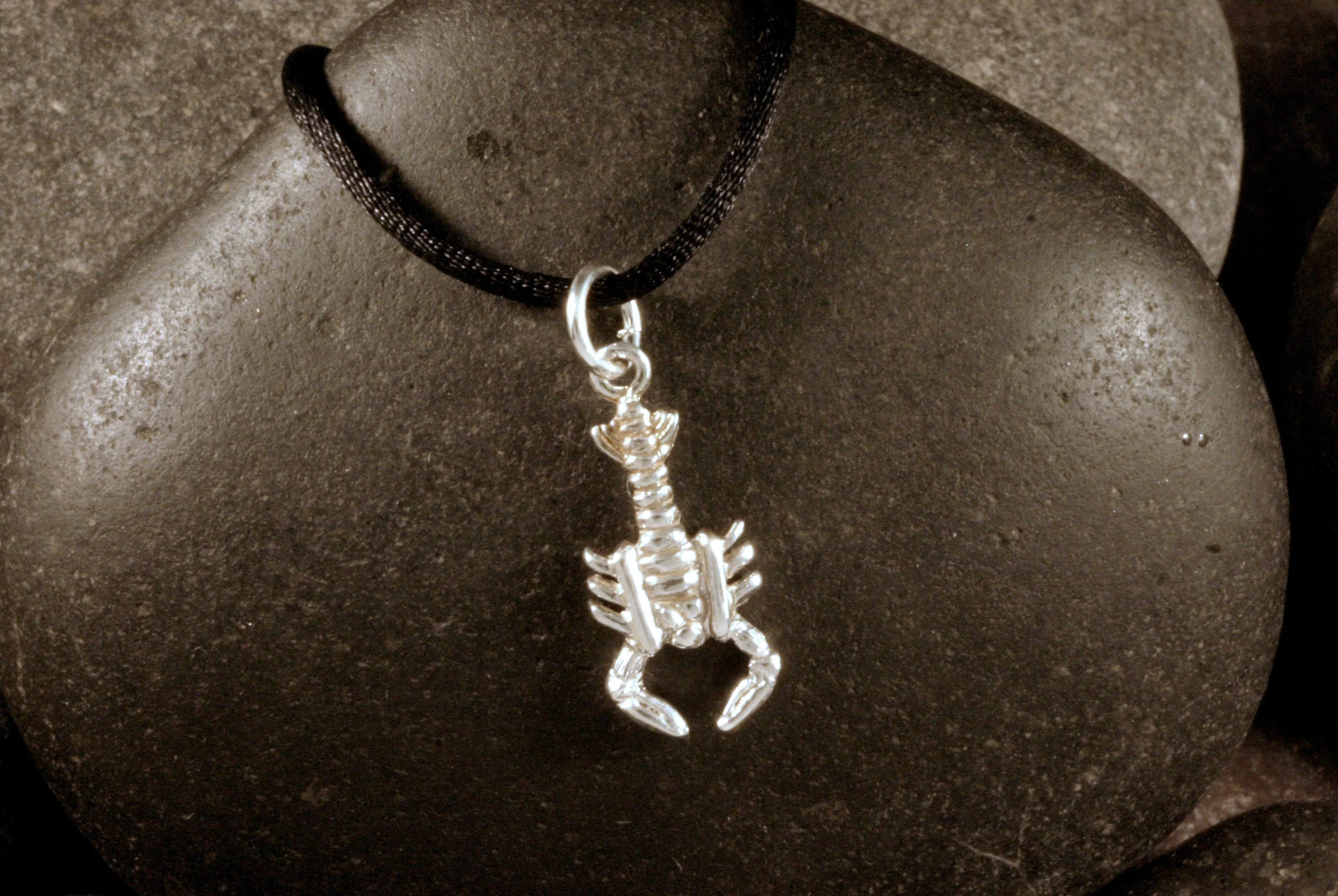 A shiny sterling silver mini lobster charm.