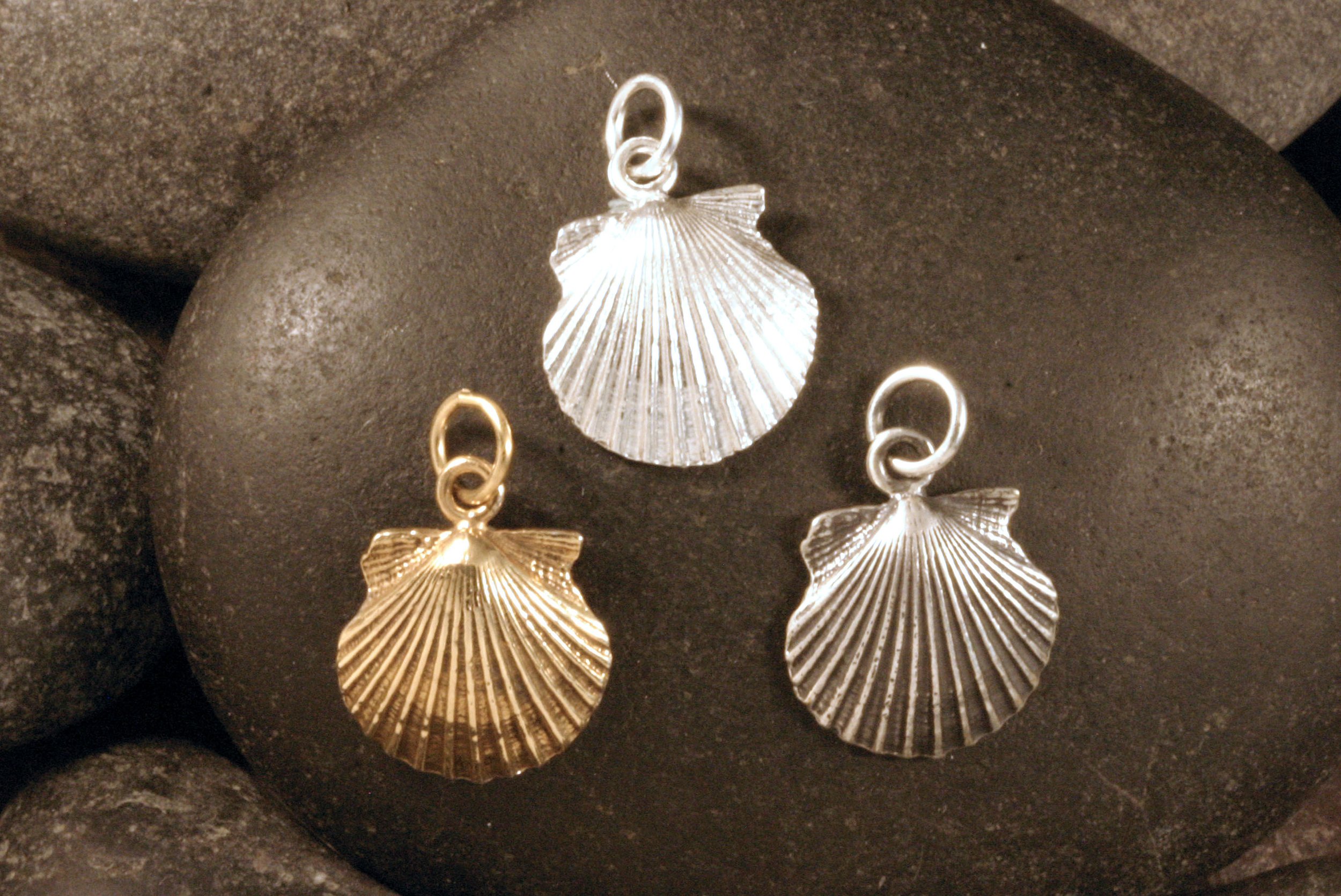 Scallop shell charms in 14K gold, shiny sterling silver, and oxidized sterling silver.