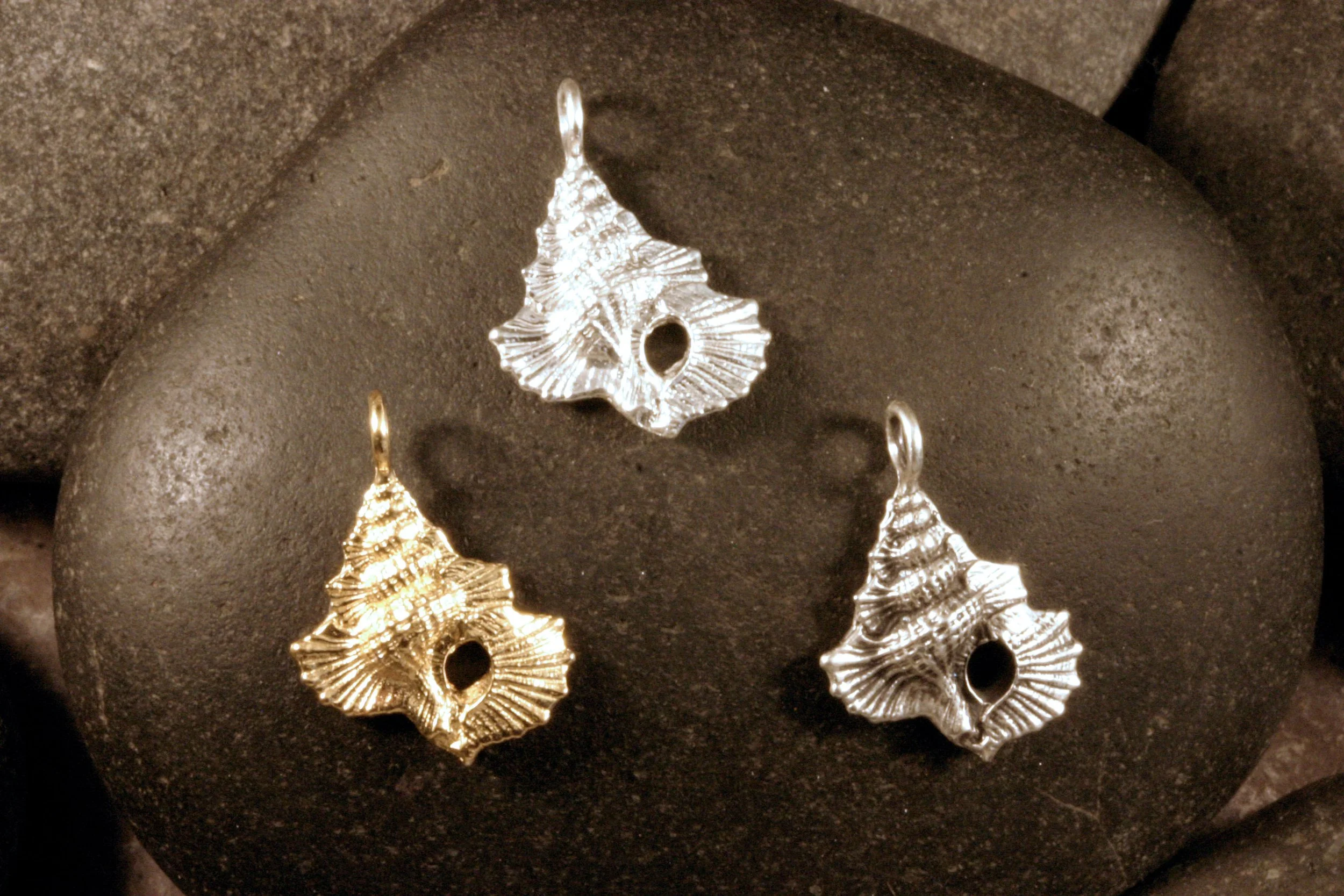 Whelk shell charms in 14K gold, shiny sterling silver, and oxidized sterling silver.