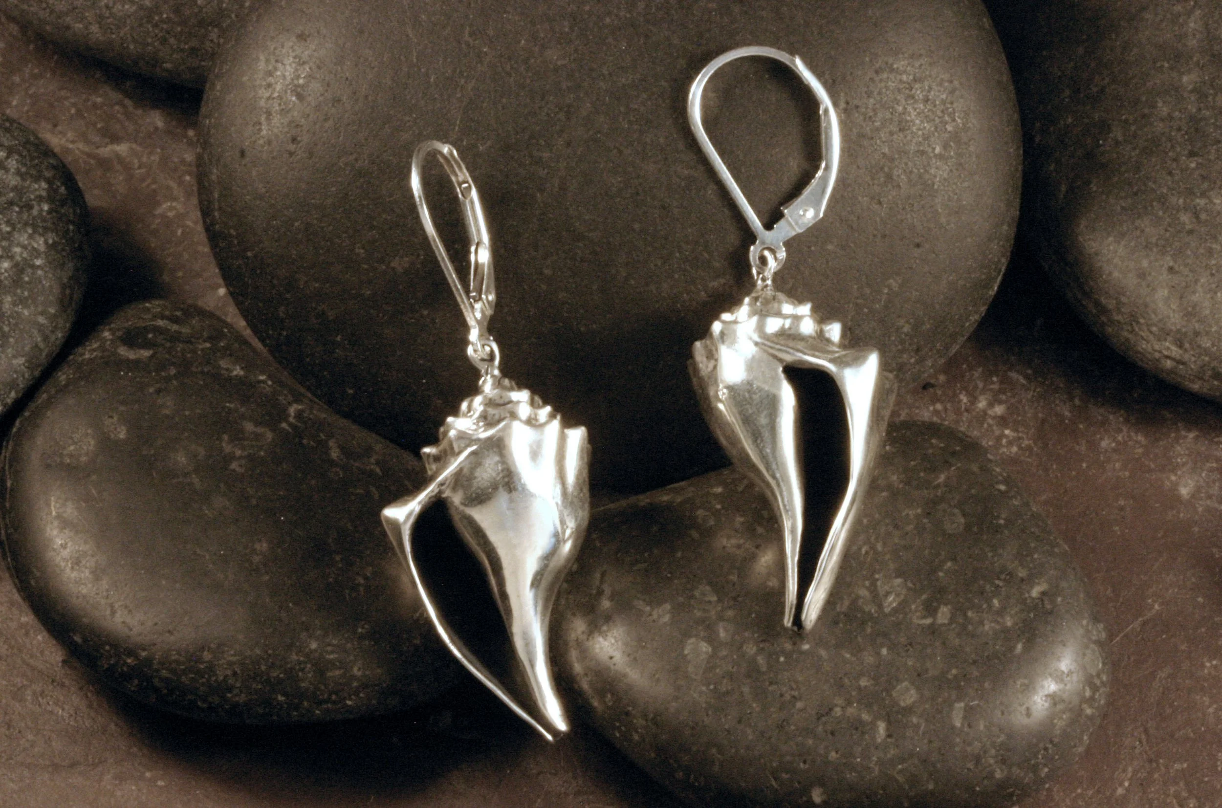 Sterling silver knobbed whelk shell earrings.