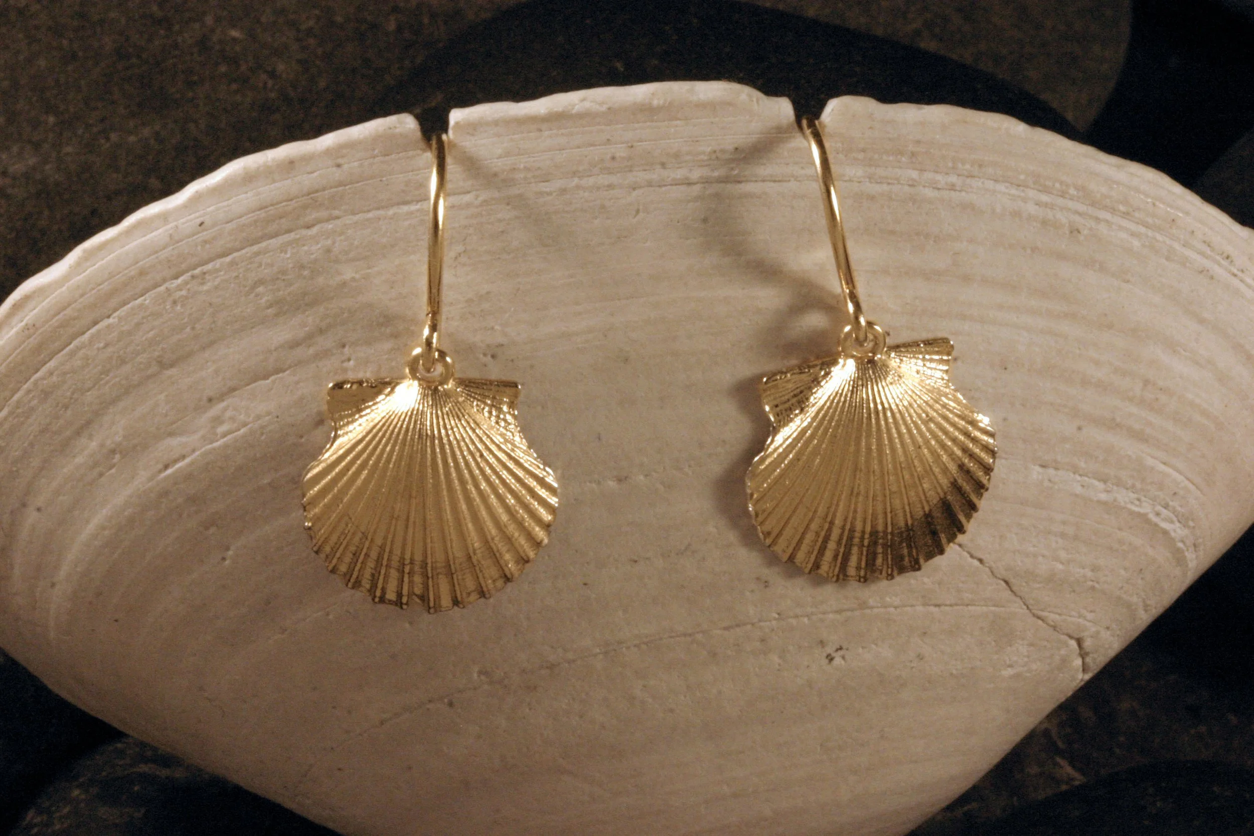 14K gold scallop seashell dangle earrings with french hooks hanging on a seashell stand.