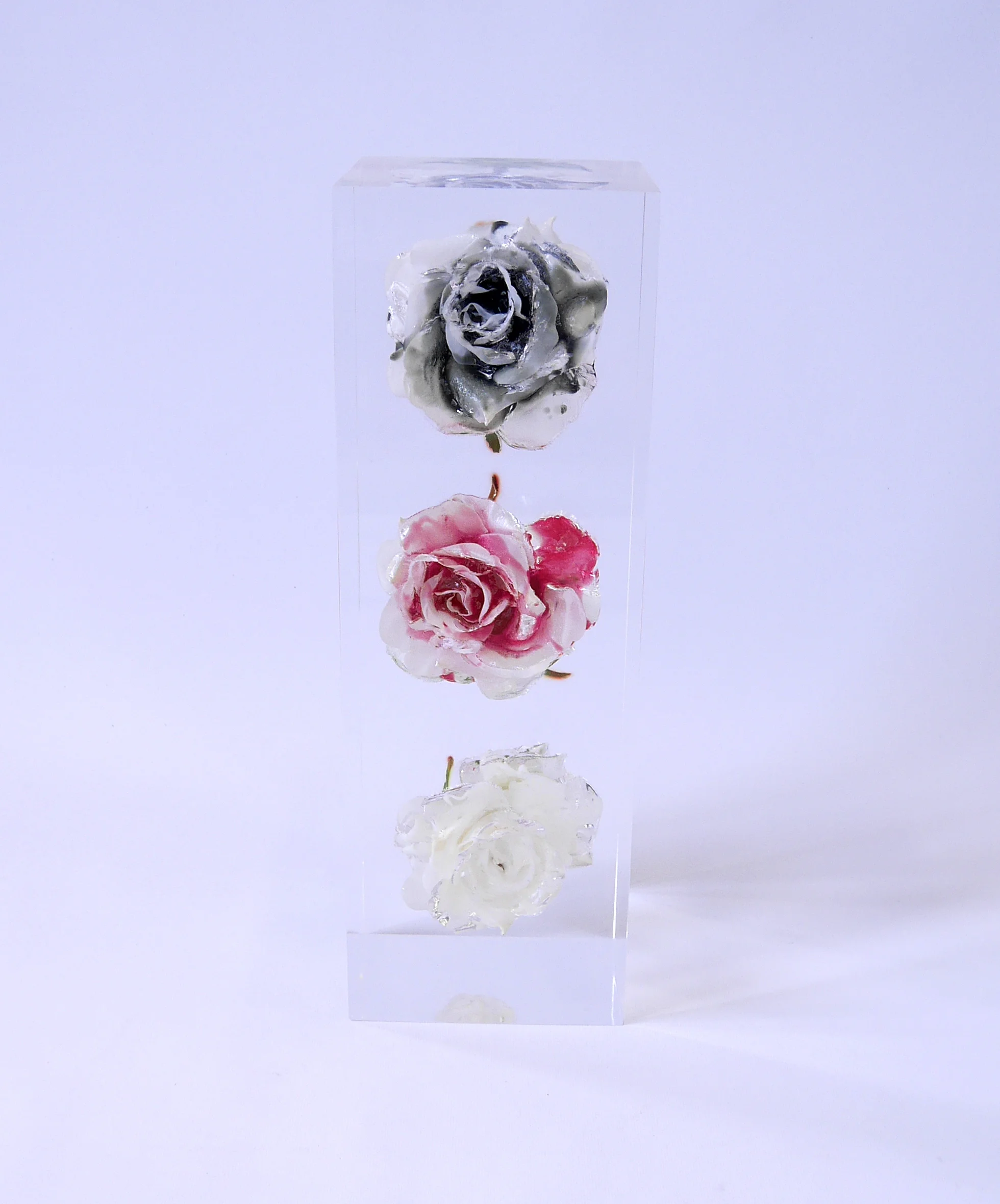 Rose Stack - BLD