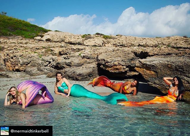 A pod of MerNation mermaids spotted in Germany! Love seeing photos of our amazing customers together ❤️
&bull;
Photography by Katrin Schaefer Fotografie
&bull;
#mermaid #mermaids #mermaidtail #mernation #siliconetail #siliconemermaidtail #tailmaker #