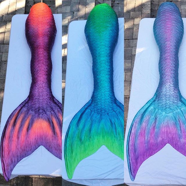 Trio of tails heading to Ripleys Aquarium Myrtle Beach! Three tails with three different &ldquo;looks&rdquo;!
Comment 🧡💚💜 below 👇which one you think best fits your &ldquo;inner Mer&rdquo;!
Swipe to see more 👈
&bull;
@ripleysmyrtlebeach
&bull;
#m