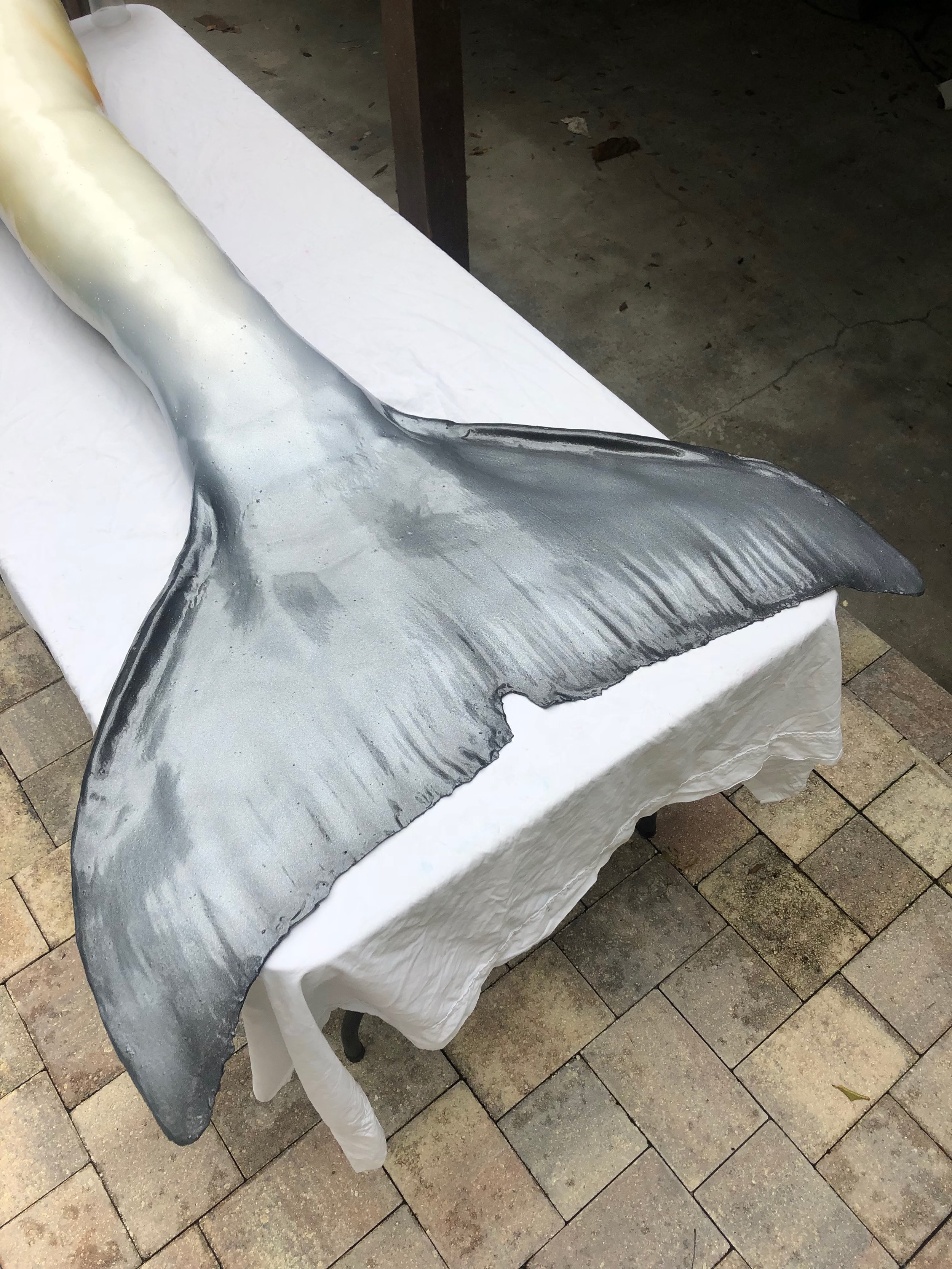 Delphi Fluke