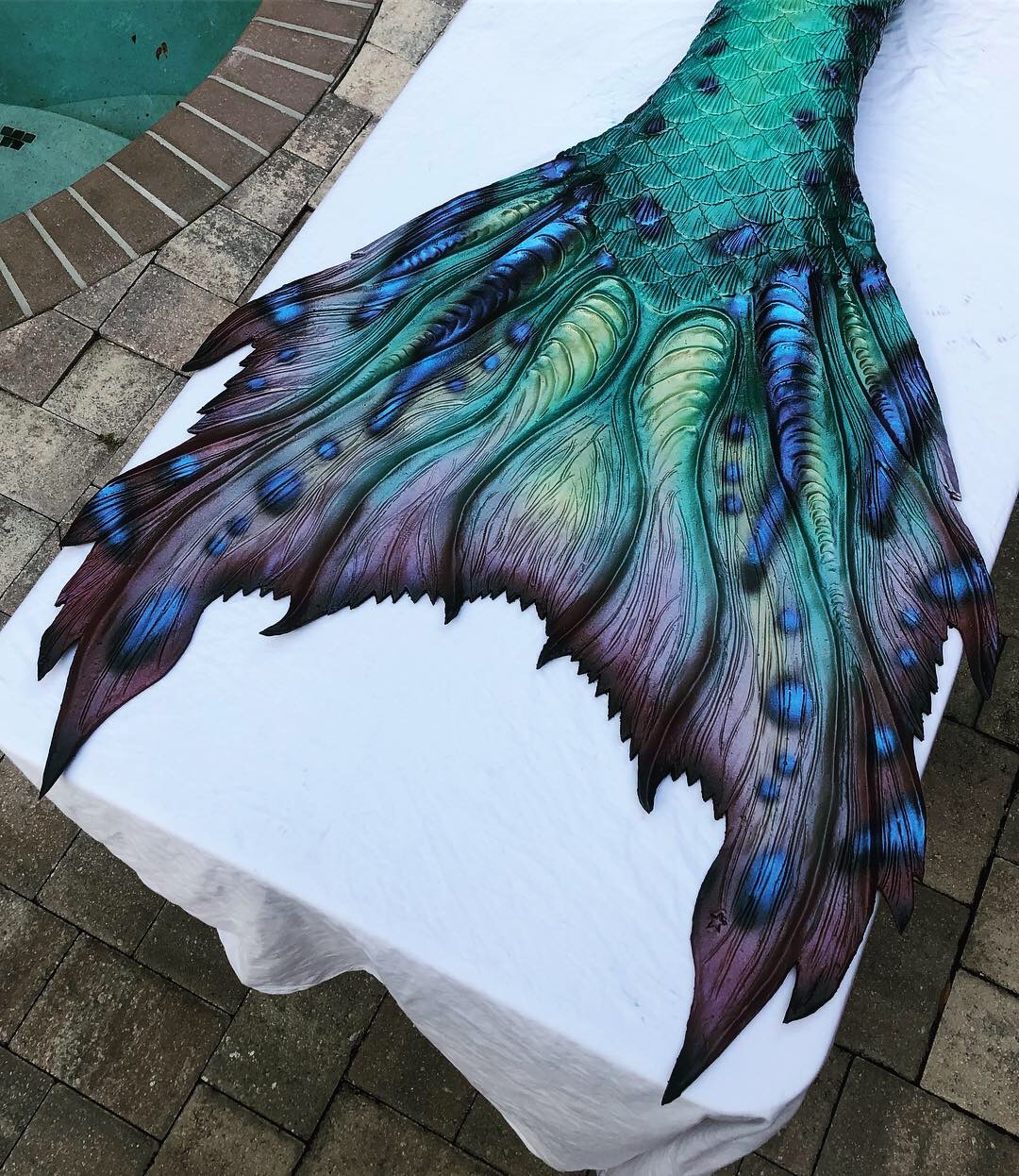 Khaleesi Fluke