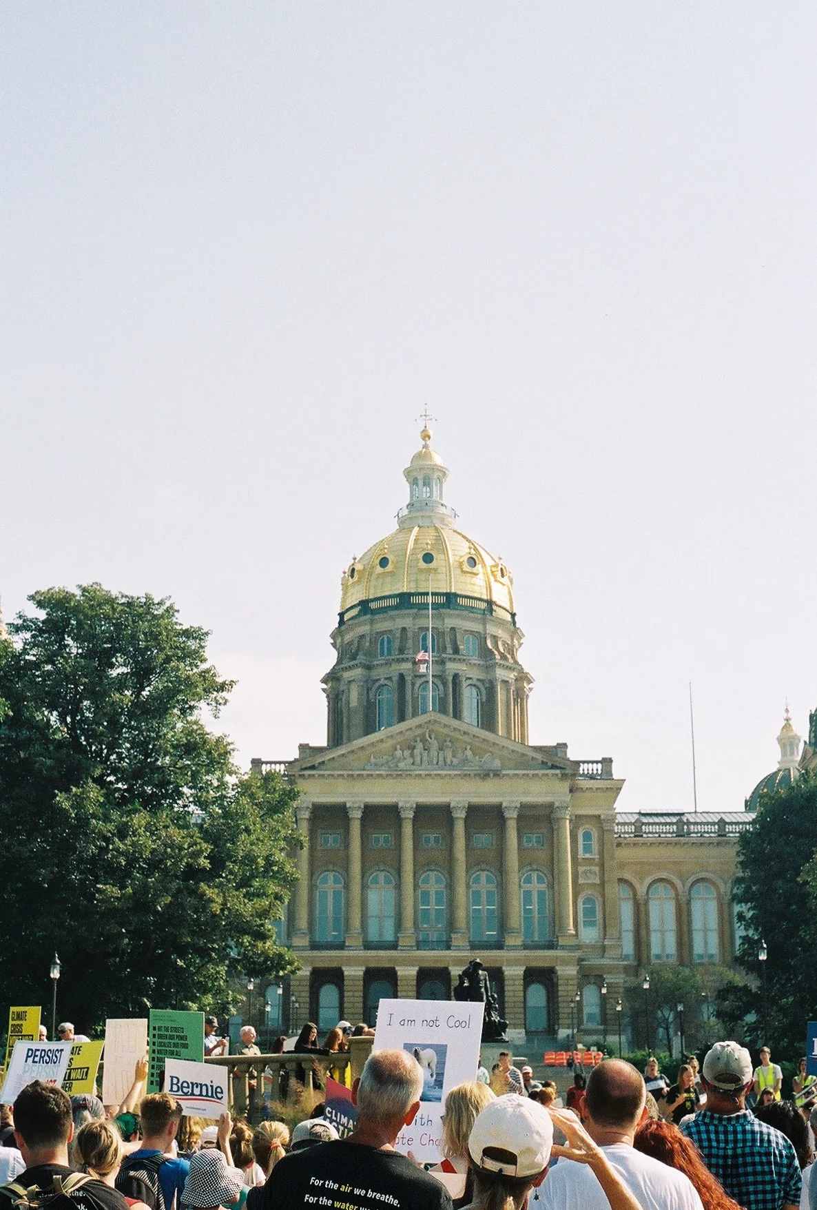 51910013.jpg