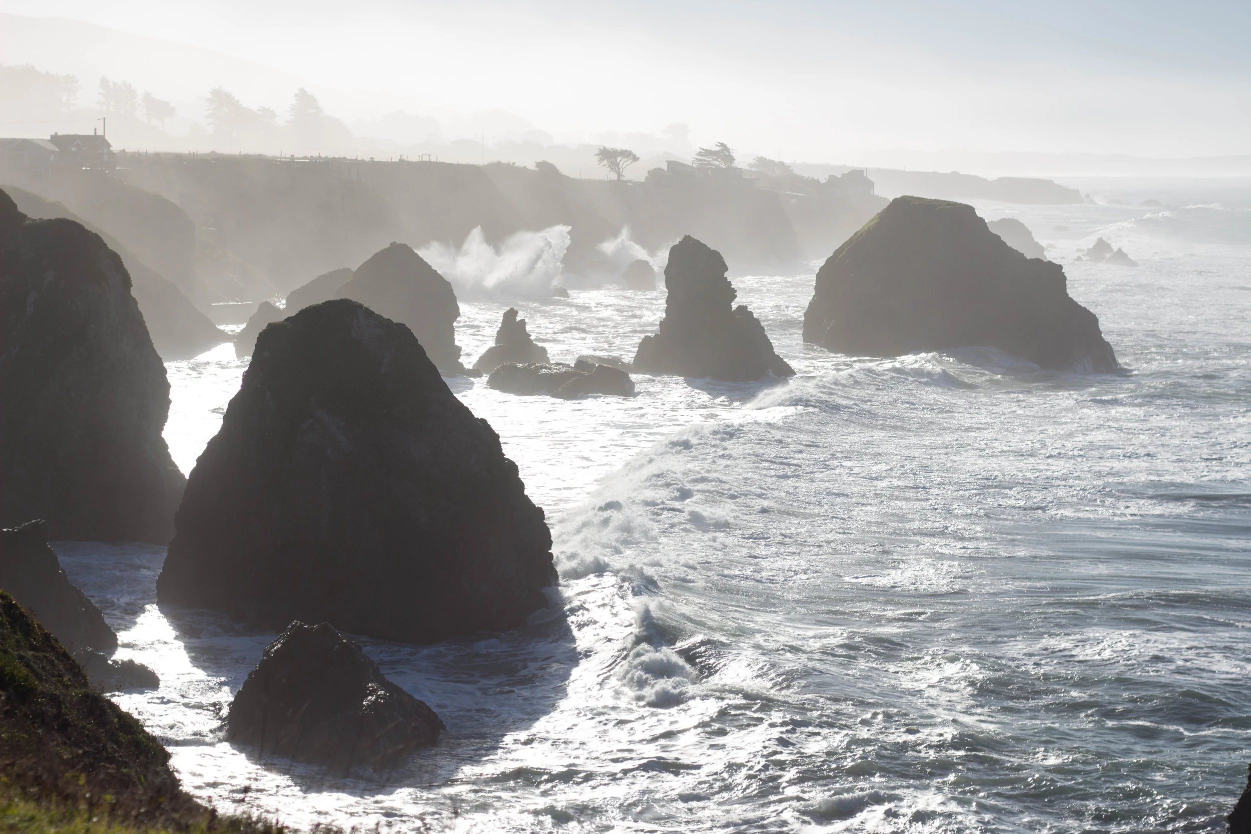 Bodega Bay