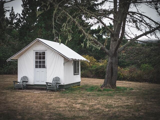 Didn&rsquo;t mind the early morning coastal fog at Costanoa one bit. Such a cute place to go #glamping. #costanoa #pescadero #centralcoast #norcal #californiacoast