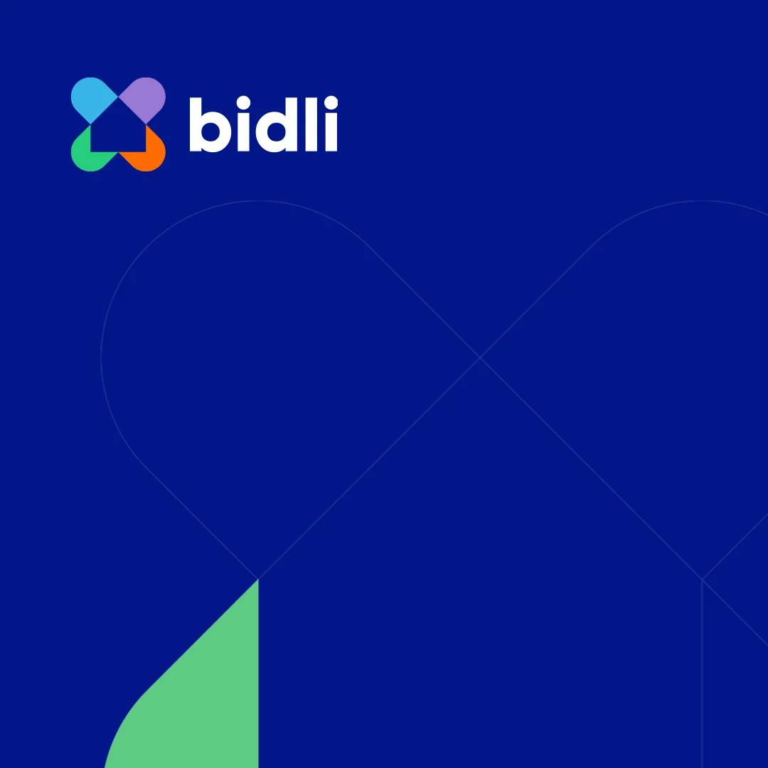 th-bidli.jpg