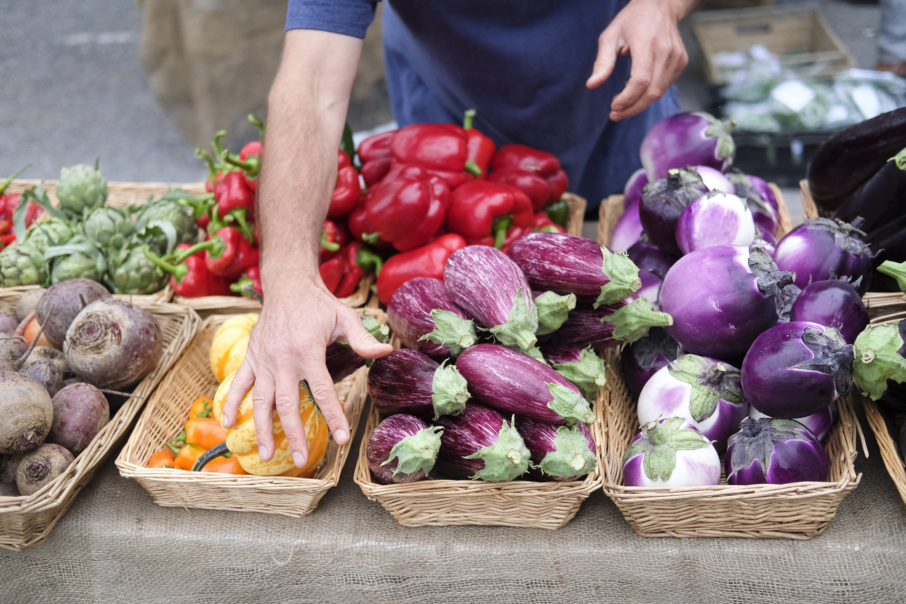 Wild Country Organics-7678.jpg
