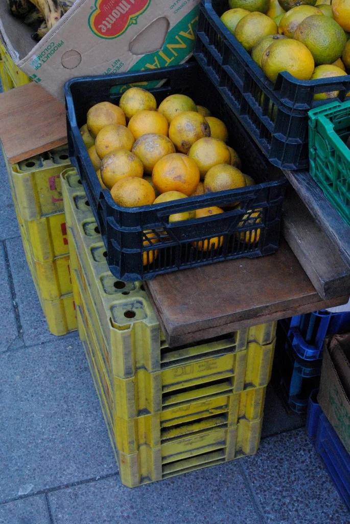 dsc_1251_16686566240_o.jpg