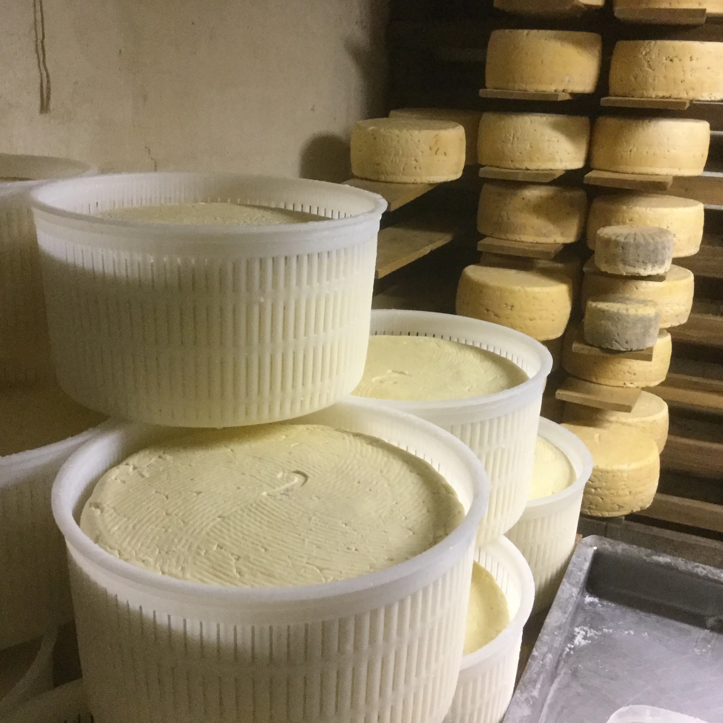 Advanced Cheesemaking: Simplifying Difficult Cheeses 