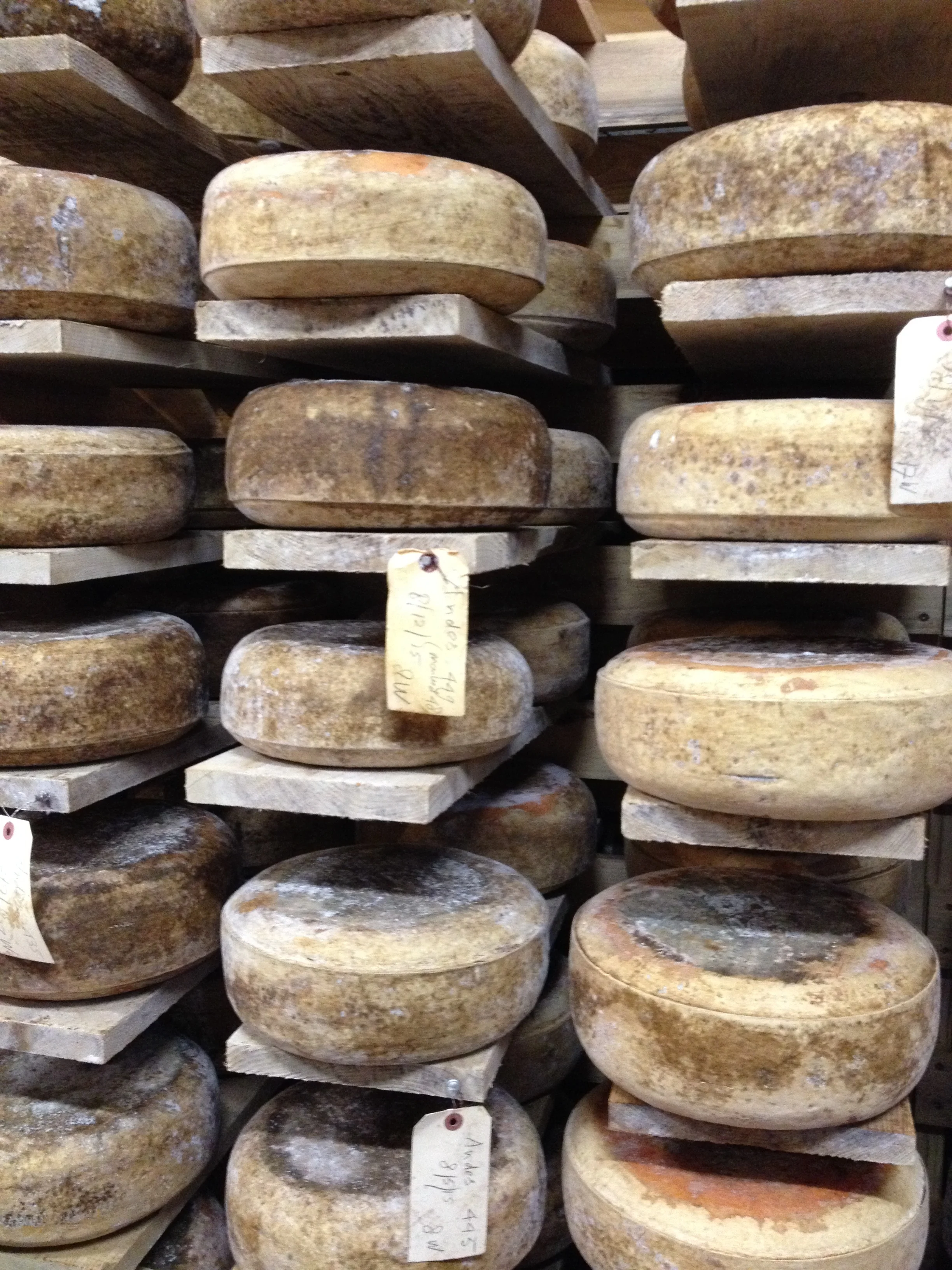 Affinage: Techniques, Microbes, & Facilities