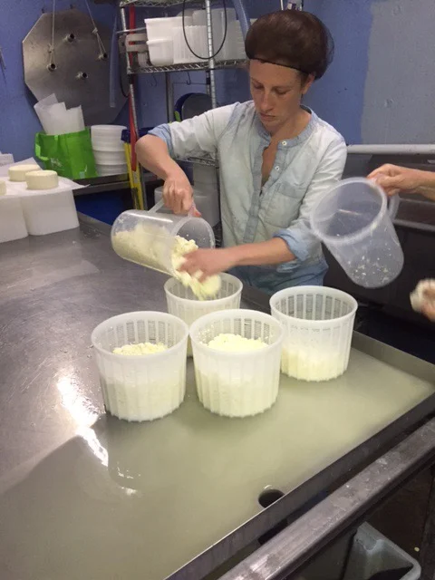 Introduction to Cheesemaking: Milk to Make to Market 