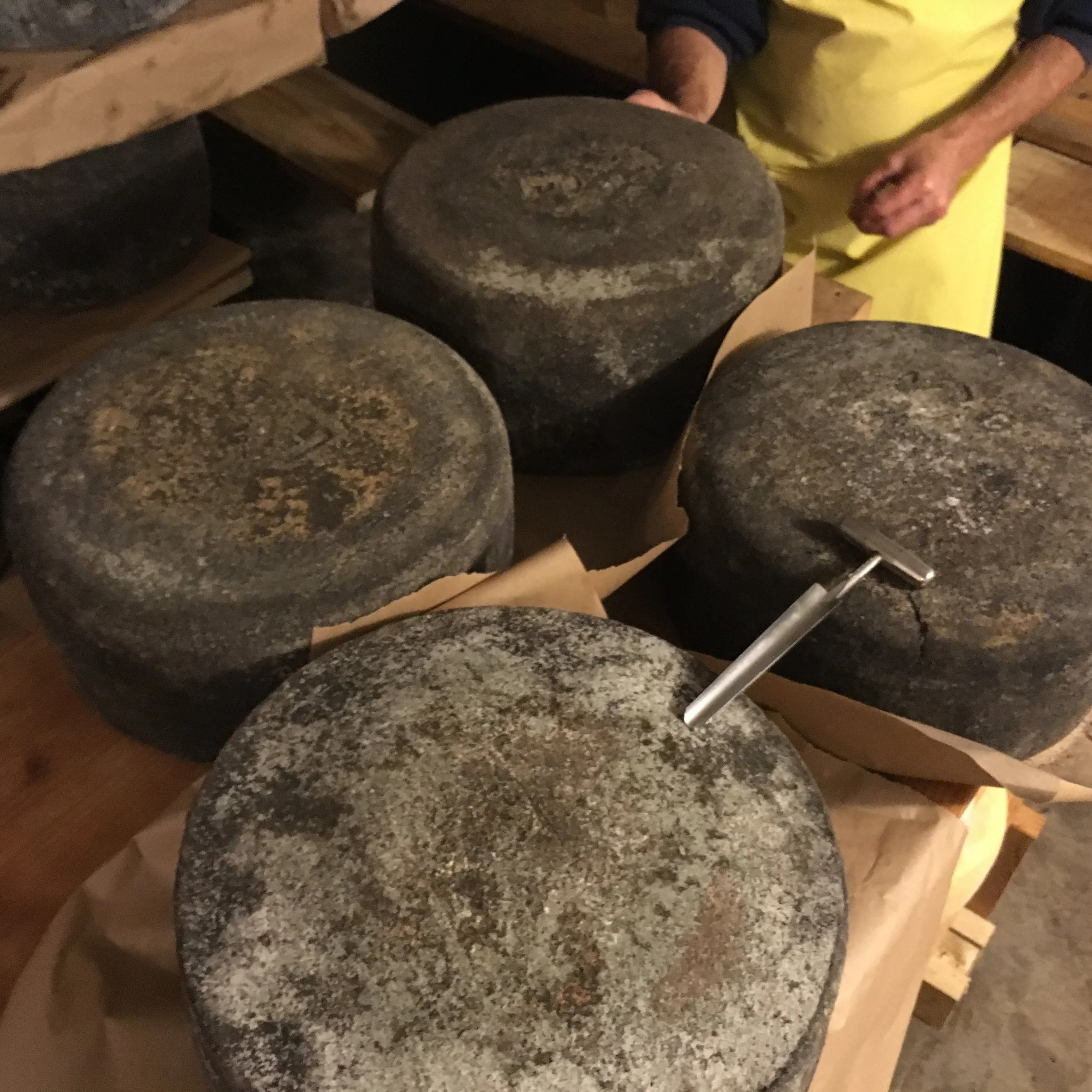 Affinage: Techniques, Microbes, &amp; Facilities  