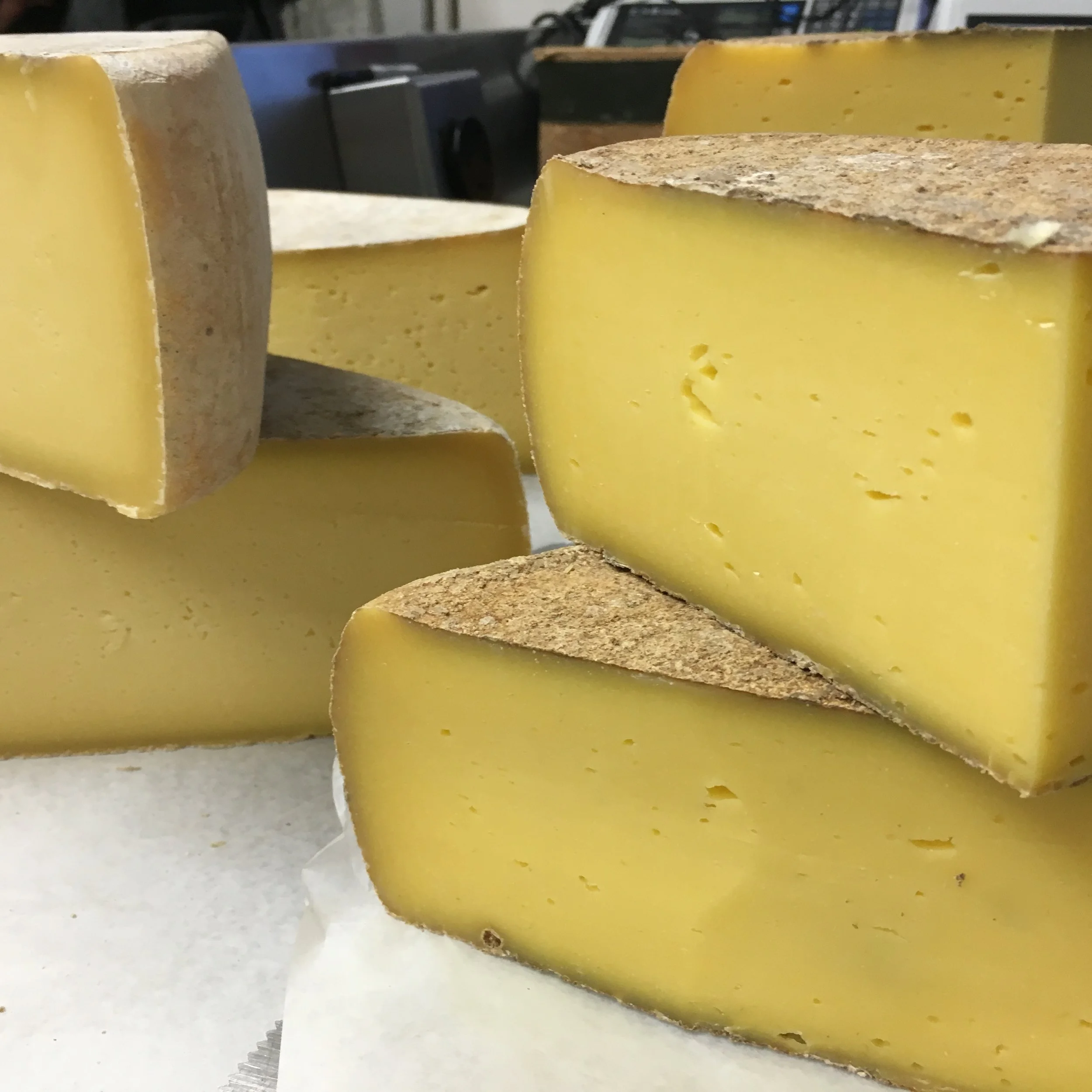 American Cheese Society Annual Conference and Competition