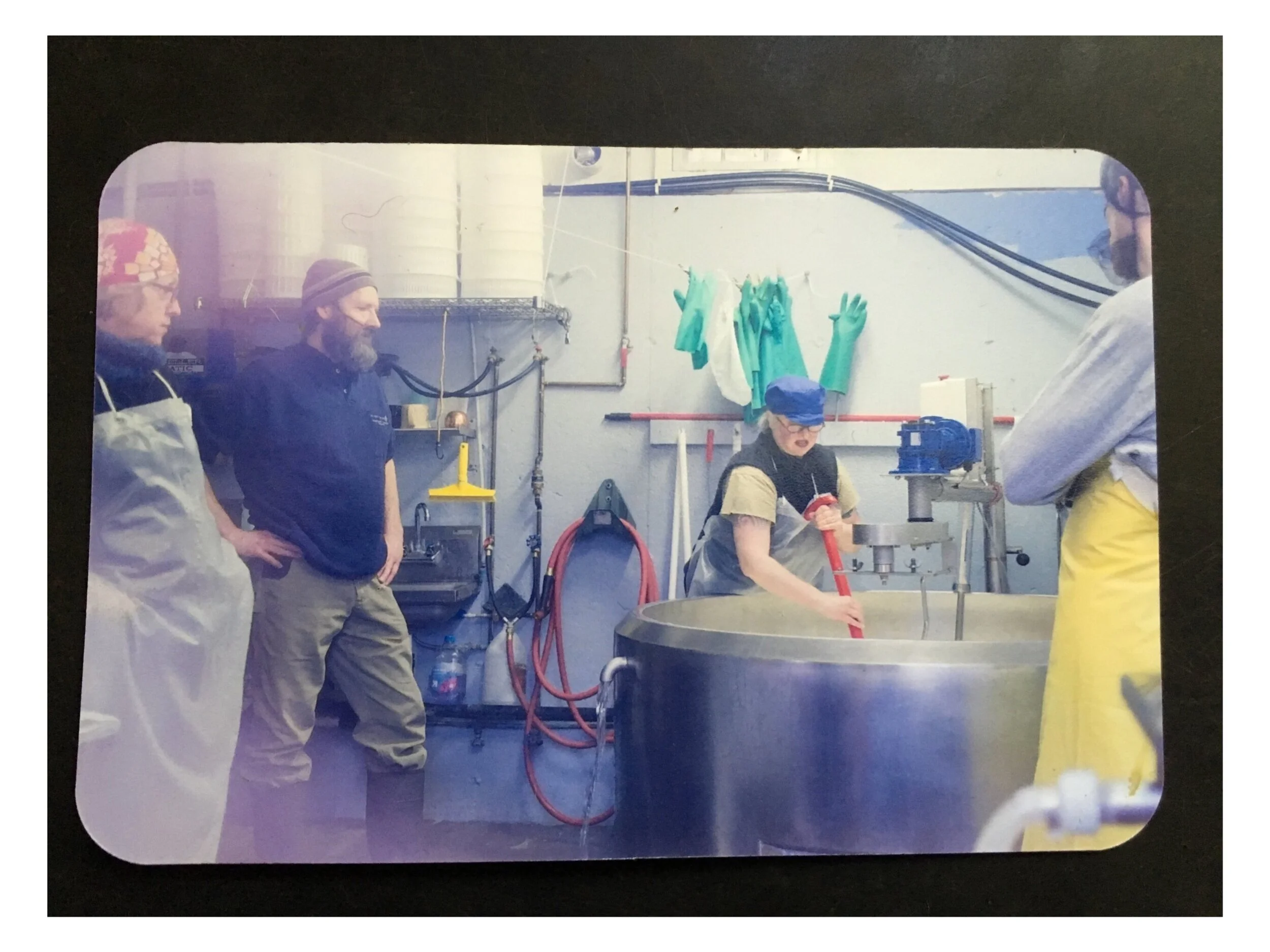 Practical Cheesemaking: Rooting Out Defects At The Vat - POSTPONED