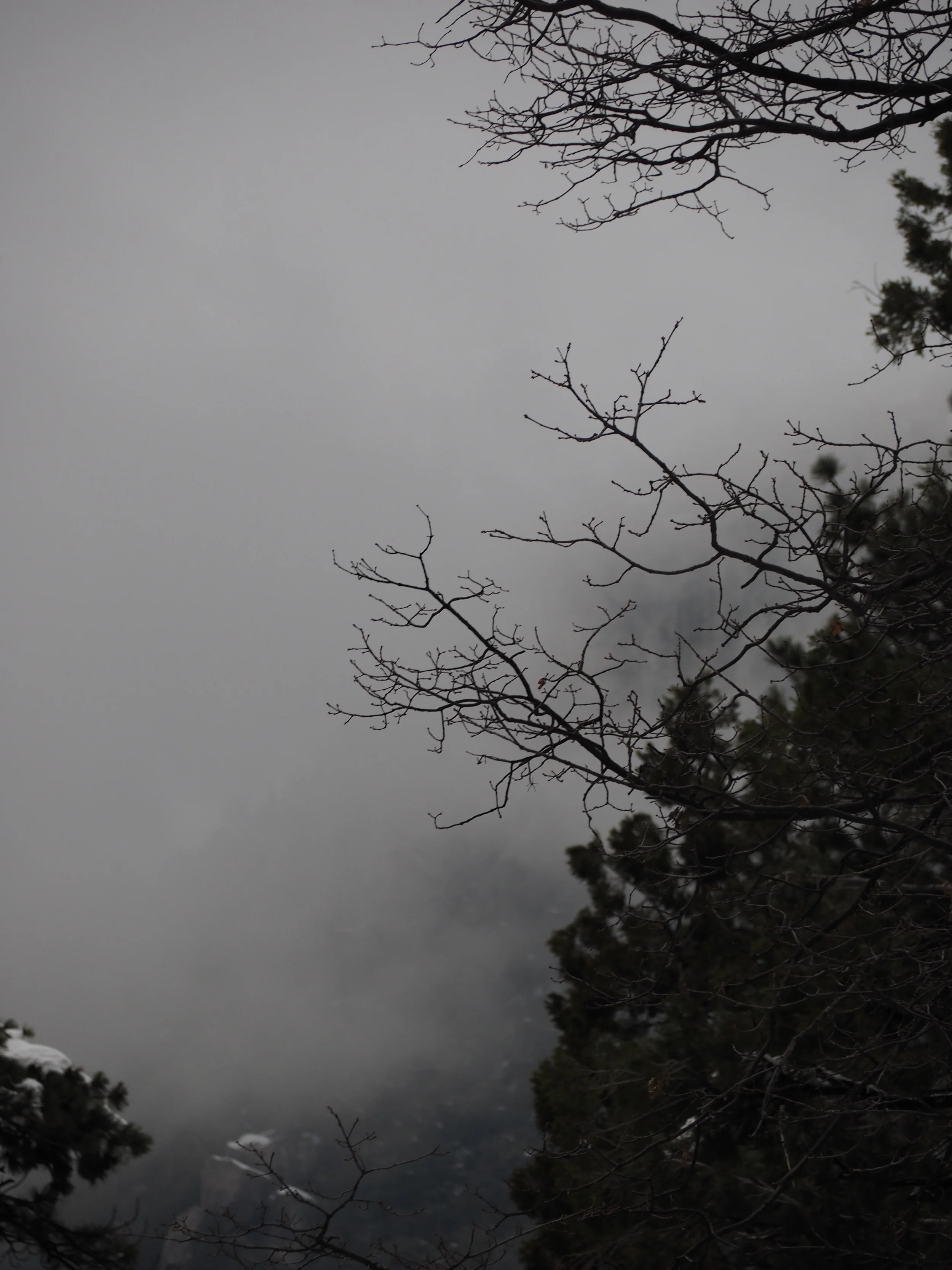 P3030437.JPG