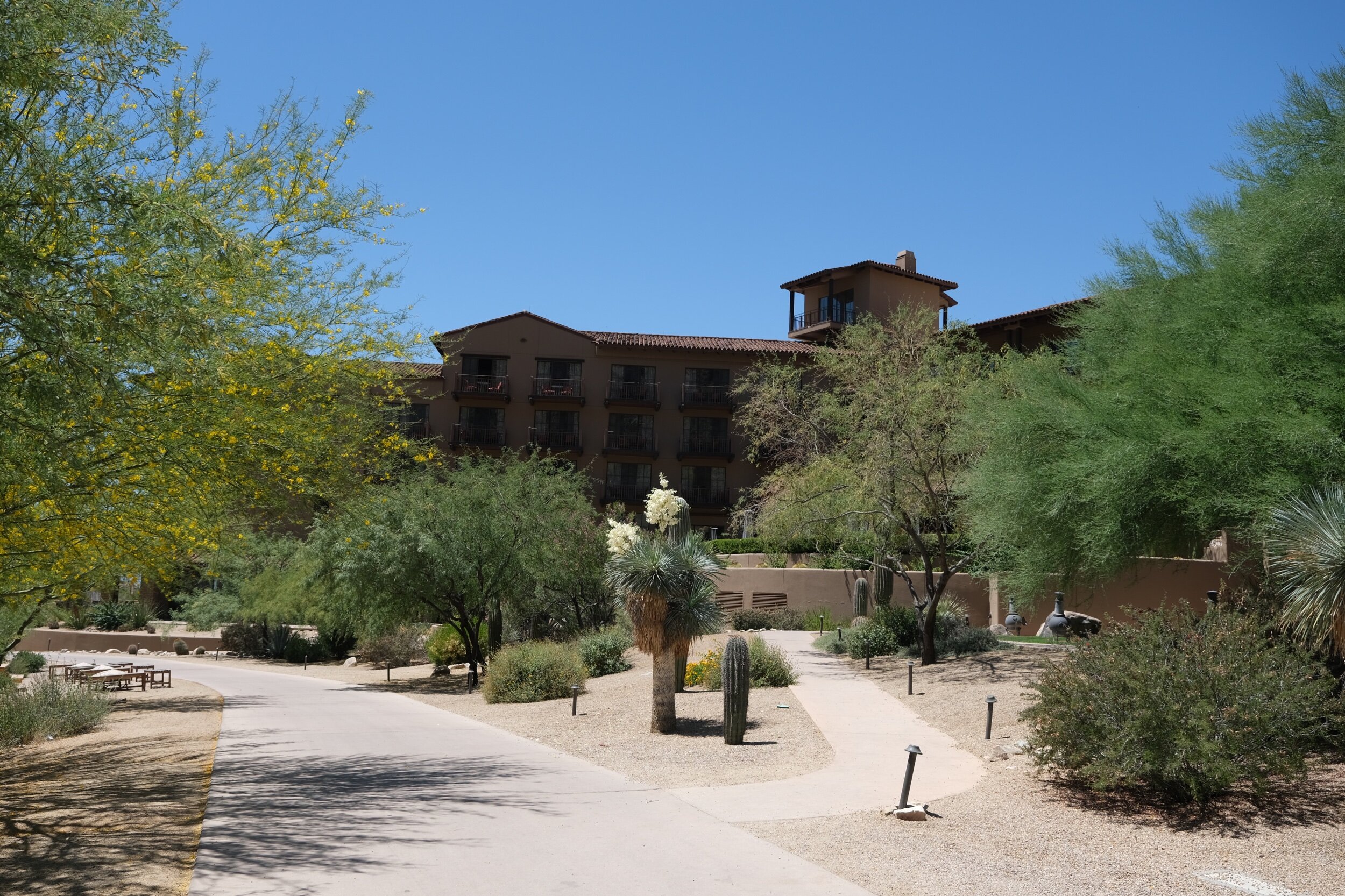 Hotel View from Path