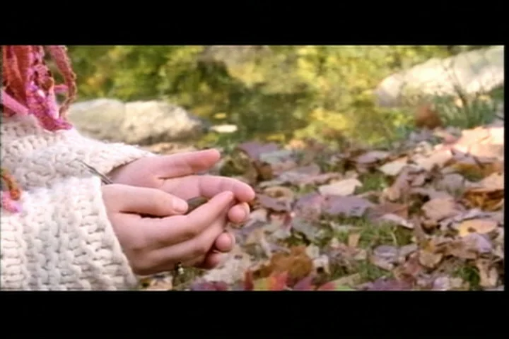 Bird In Hand Still.jpeg