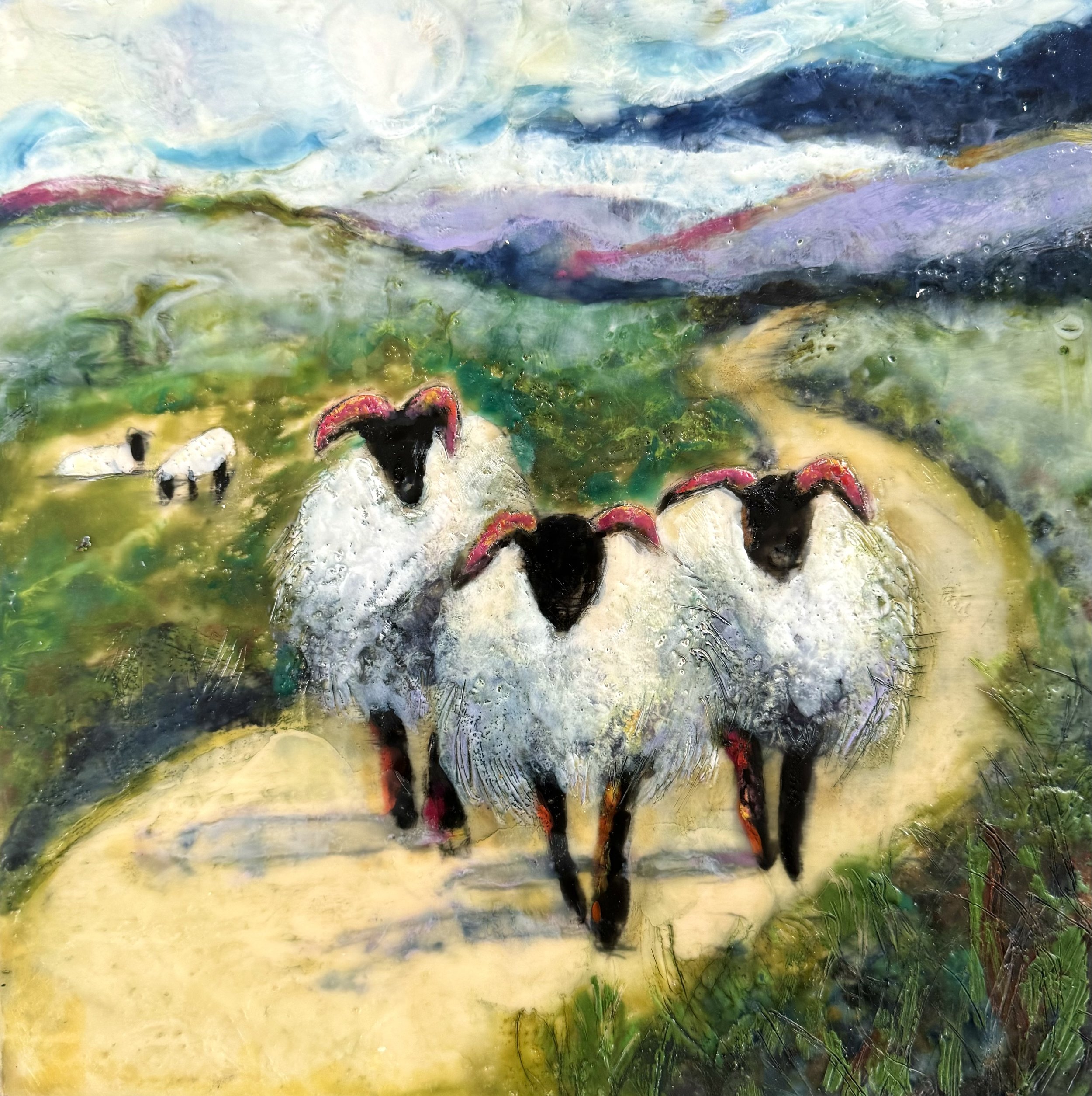 County Mayo Sheep.jpeg