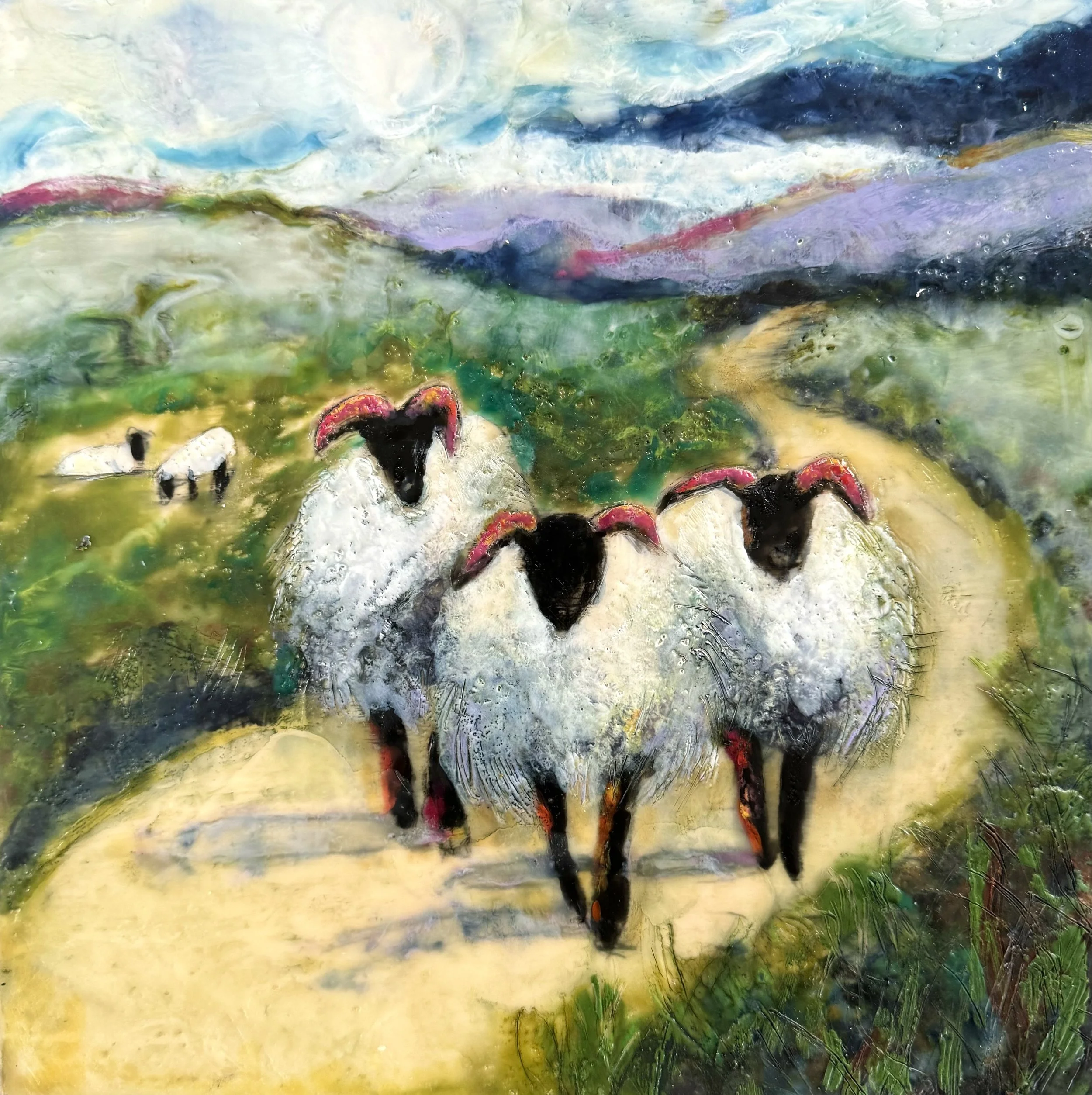 County Mayo Sheep.jpeg