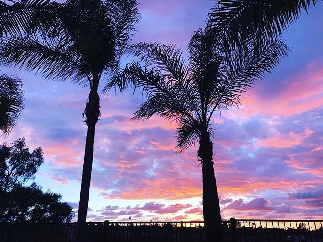 Awesome backyard sunset tonight. But dang... it was cold for Cali!