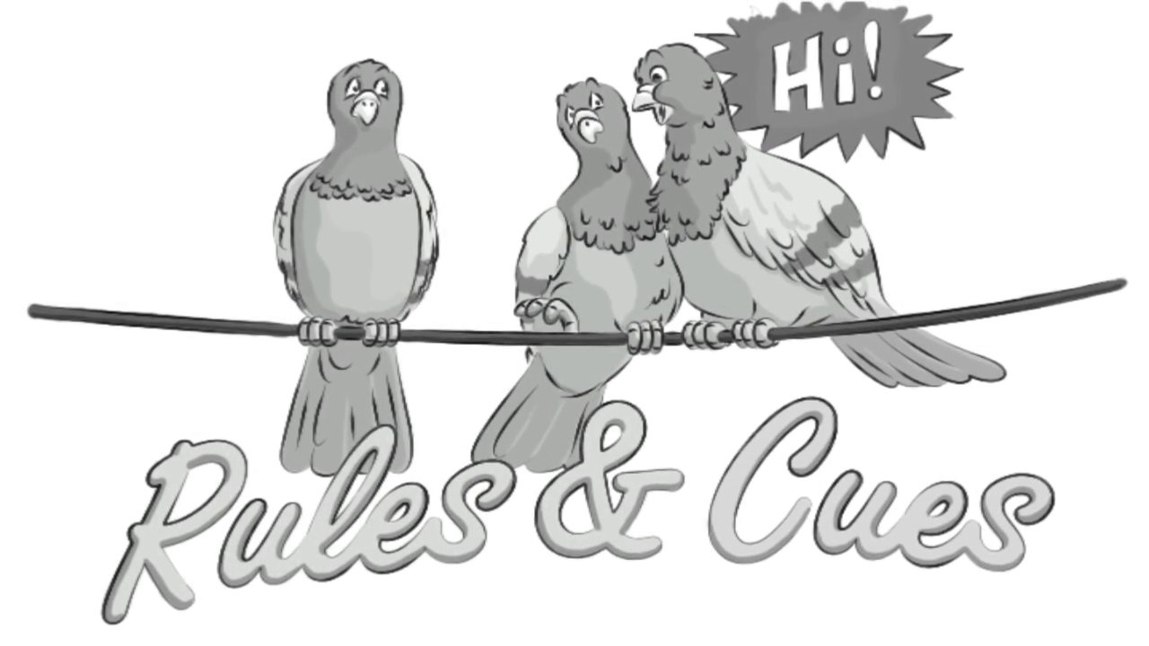 Social Skills - Rules & Cues