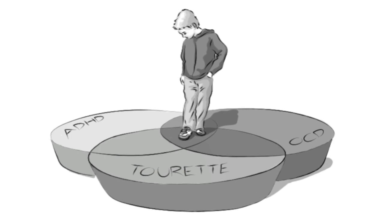 Tourette Syndrome & Comorbidity