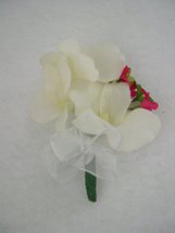 Copy of Cream Orchid and Pink Accent Flower Corsage - Minneapolis Silk Florist