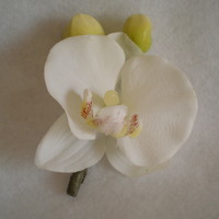 Copy of Cream Orchid Boutonniere-Minneapolis Silk Florist