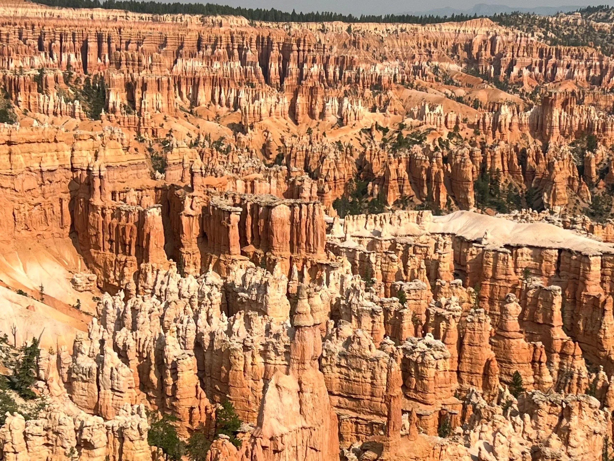 Zion