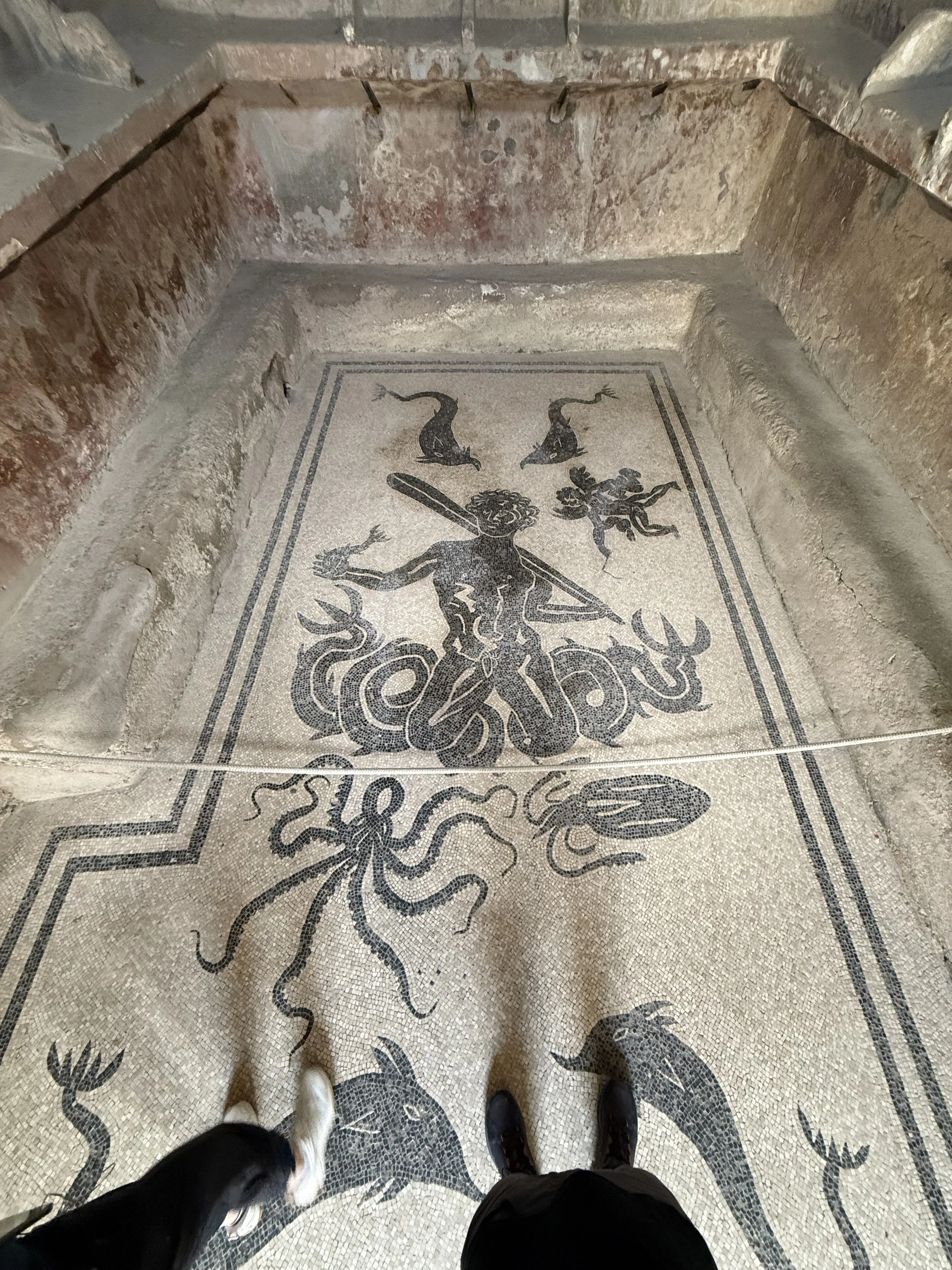 View of a mosaic floor with a lion and mythical creature, seen from a person's perspective, with their shoes visible at the bottom of the image.
