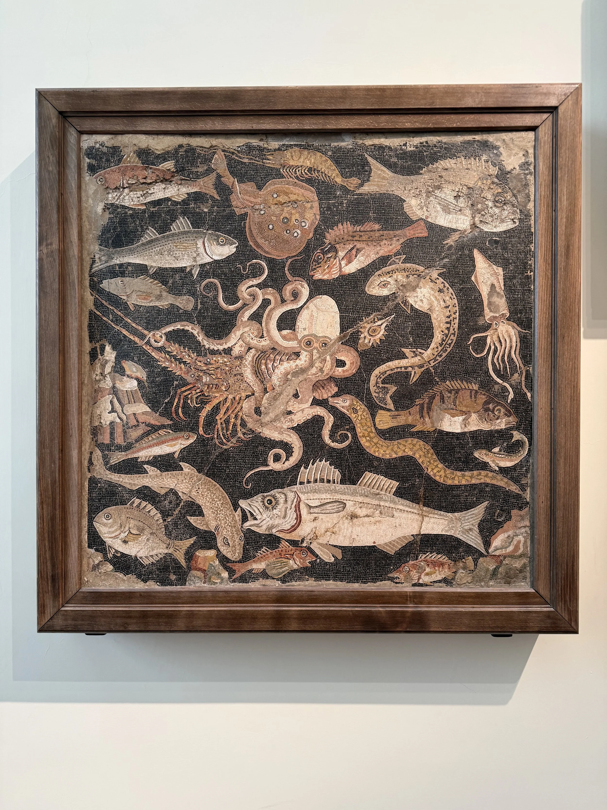 Ancient mosaic artwork depicting various fish, an octopus, and other sea creatures in a framed display.