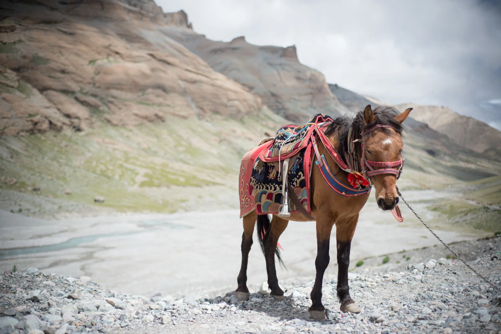 Tibet&Nepal2013-132.jpg