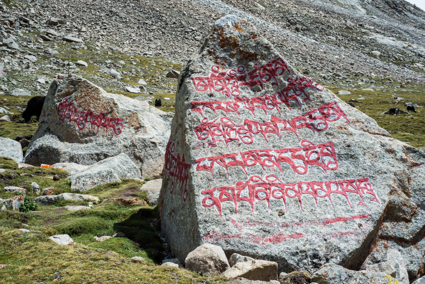 Tibet&Nepal2013-265.jpg