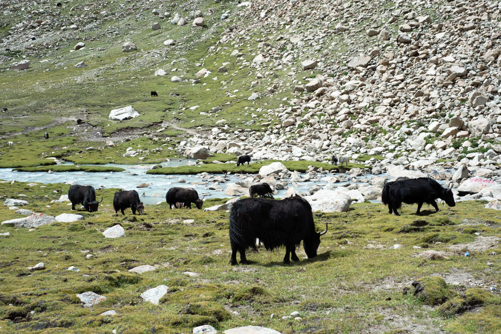 Tibet&Nepal2013-266.jpg