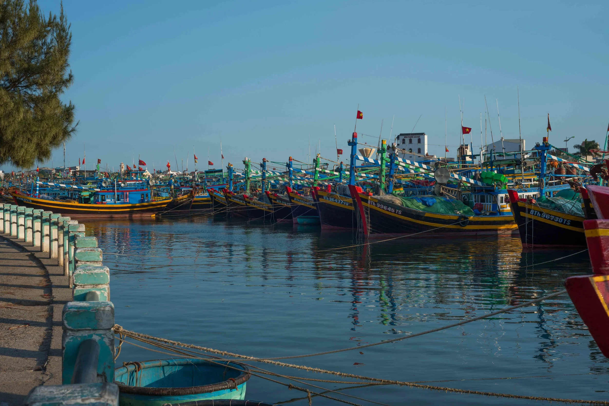 DSC_5496.jpg