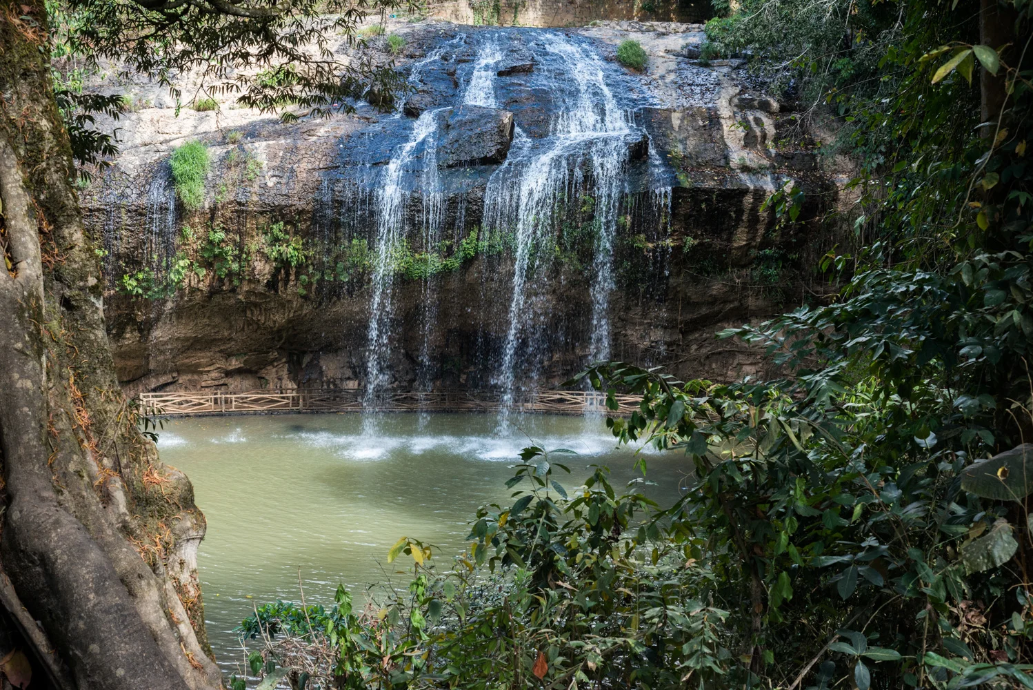 DSC_5799.jpg