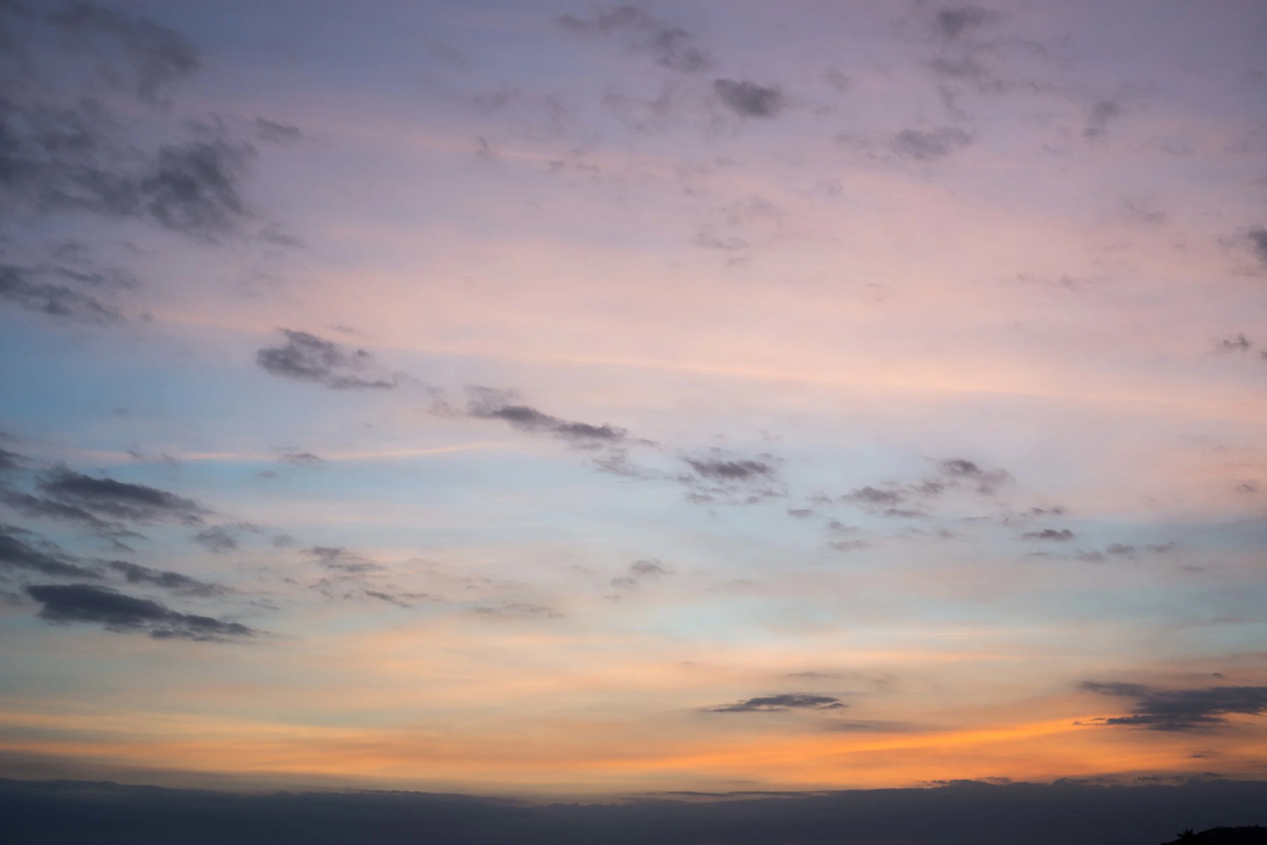 DSC_6087.jpg