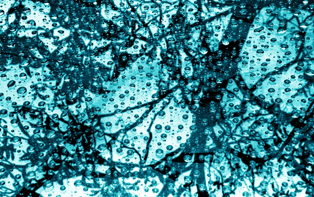 color-38345-33.jpg