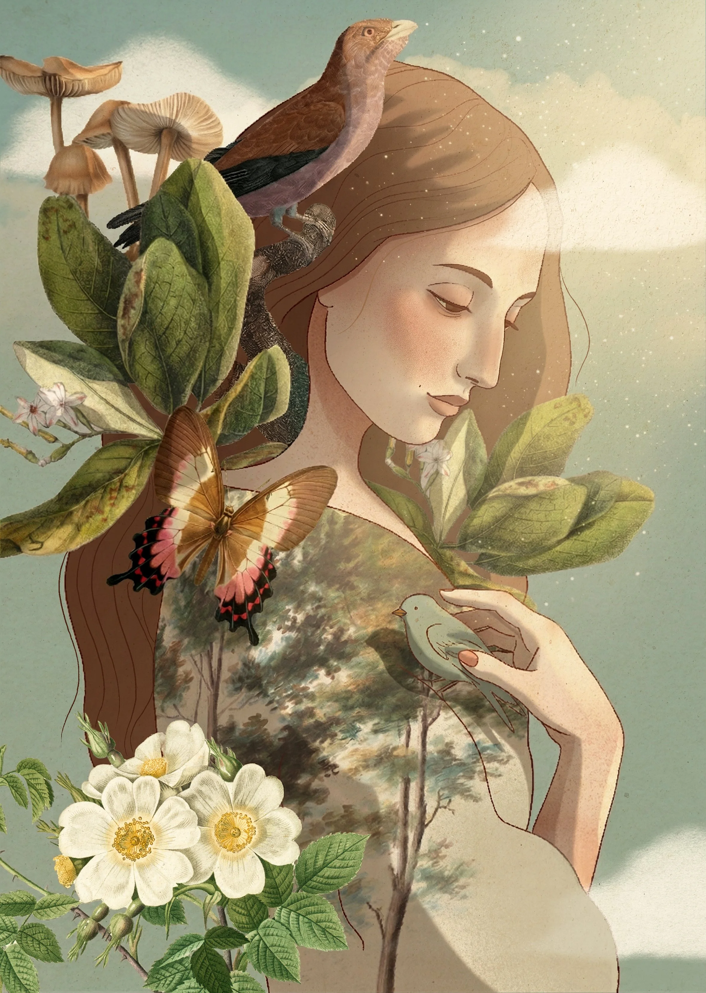 Fauna_Amalia Restrepo.jpg