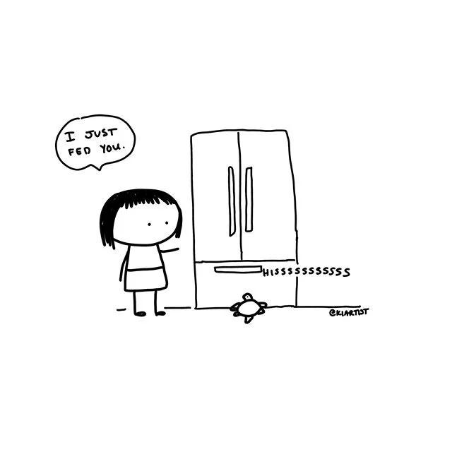 Herman would prefer more food always... 🐢❤️ he has taken to hissing at the fridge to get our attention.