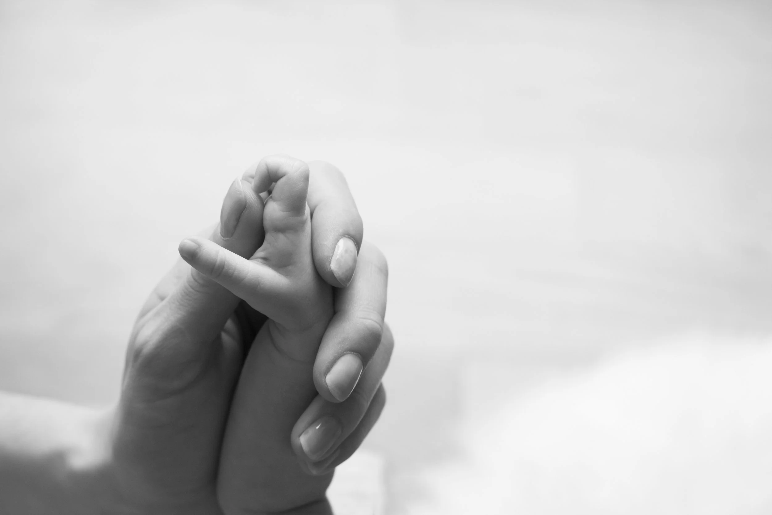 IMG_0369.bw.jpg