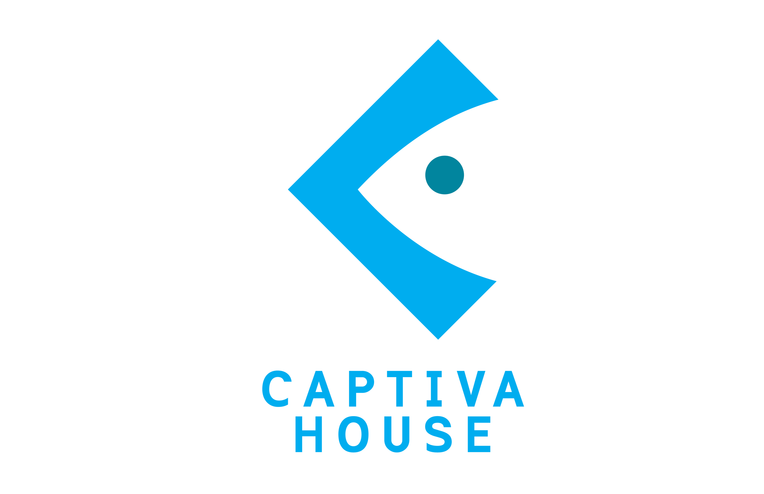 Captiva House loog-04.jpg