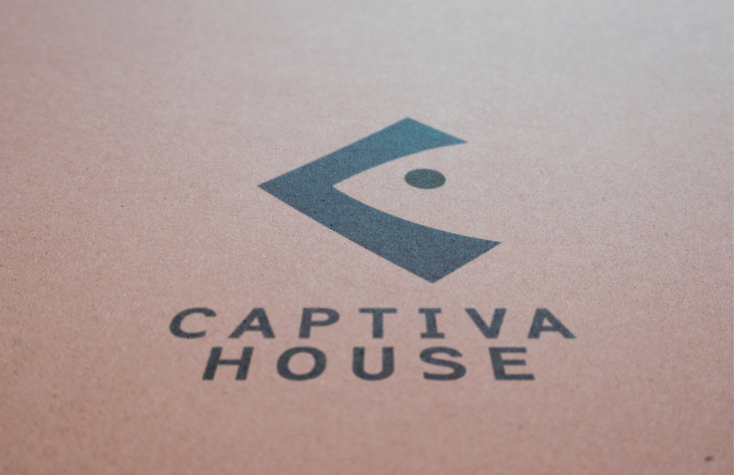 Captiva House loog-05.jpg