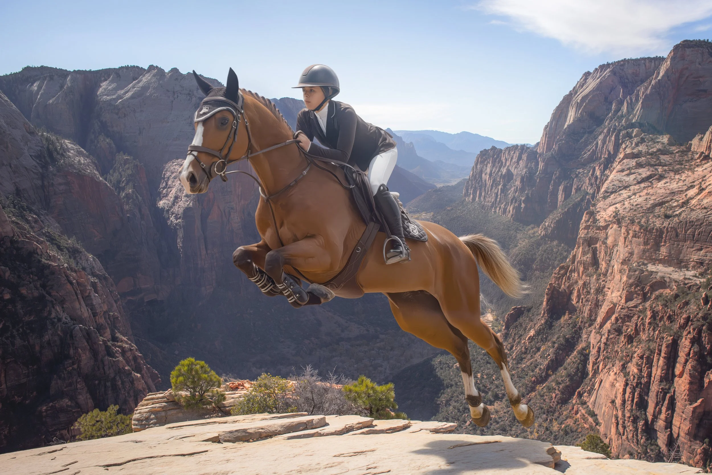BLENHEIM EQUISPORTS
